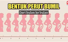 Hamil Berapa Bulan Perut Mulai Membesar